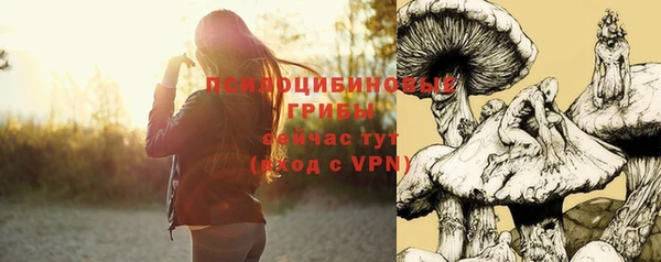 Альфа ПВП Балабаново